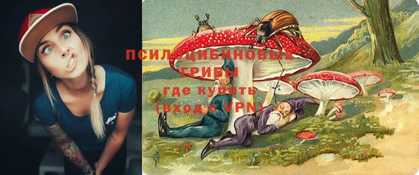 соль курить ск Липки